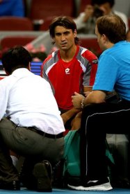 David Ferrer classe 1982, n.5 del mondo