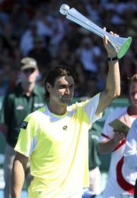 David Ferrer classe 1982, n.5 del mondo