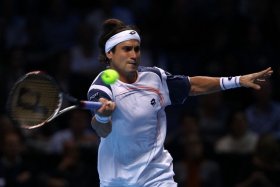 David Ferrer classe 1982, n.5 del mondo