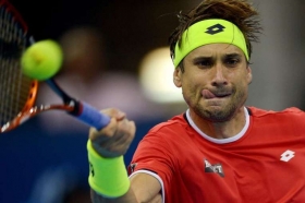 David Ferrer classe 1982, n.8 del mondo