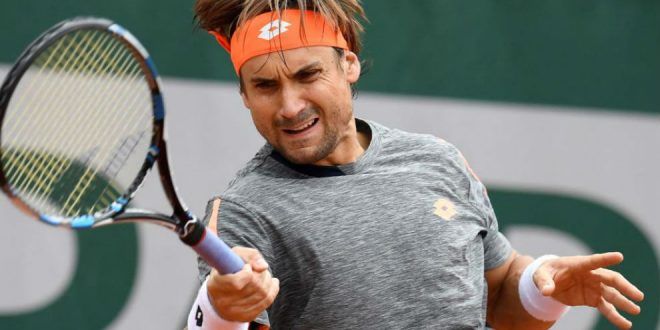 David Ferrer nella foto