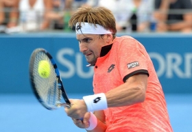 David Ferrer nella foto