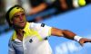 ATP Auckland: Risultati Completi di Giornata. David Ferrer ai quarti di finale. Sorprende tutti Steve Johnson che elimina nella stessa giornata Baghdatis e Anderson