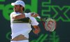Mardy Fish dà forfait a Parigi Bercy. L’americano chiude la stagione 2012 in anticipo
