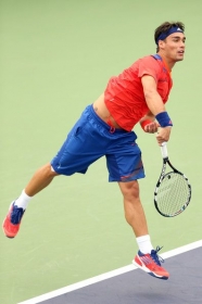 Fabio Fognini classe 1987, n.17 del mondo