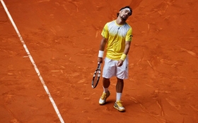 Fabio Fognini classe 1987, n.29 del mondo