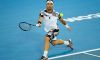 ATP Sydney e Auckland: Le entry list. Fognini e Lorenzi in Australia