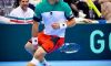 Eva Asderaki, Fabio Fognini ed il break in favore del Giappone (Con i video della partita di oggi)