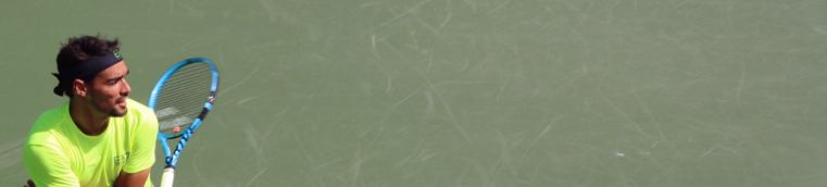 Fabio Fognini classe 1987, n.17 ATP