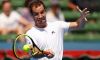ATP Marrakech: I risultati con il Live dettagliato dei Quarti di Finale