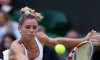 WTA Sydney, Hobart: Errani e Vinci a Sydney. Giorgi e Knapp nelle quali. La Schiavone ad Hobart