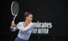 WTA Linz: Il Tabellone Principale. Giorgi e Paolini ai nastri di partenza