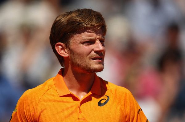 David Goffin n.1 del Belgio