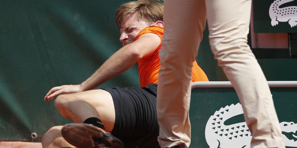 David Goffin n.1 del Belgio