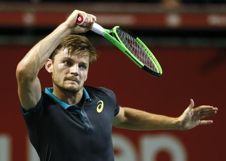 David Goffin n.1 del Belgio