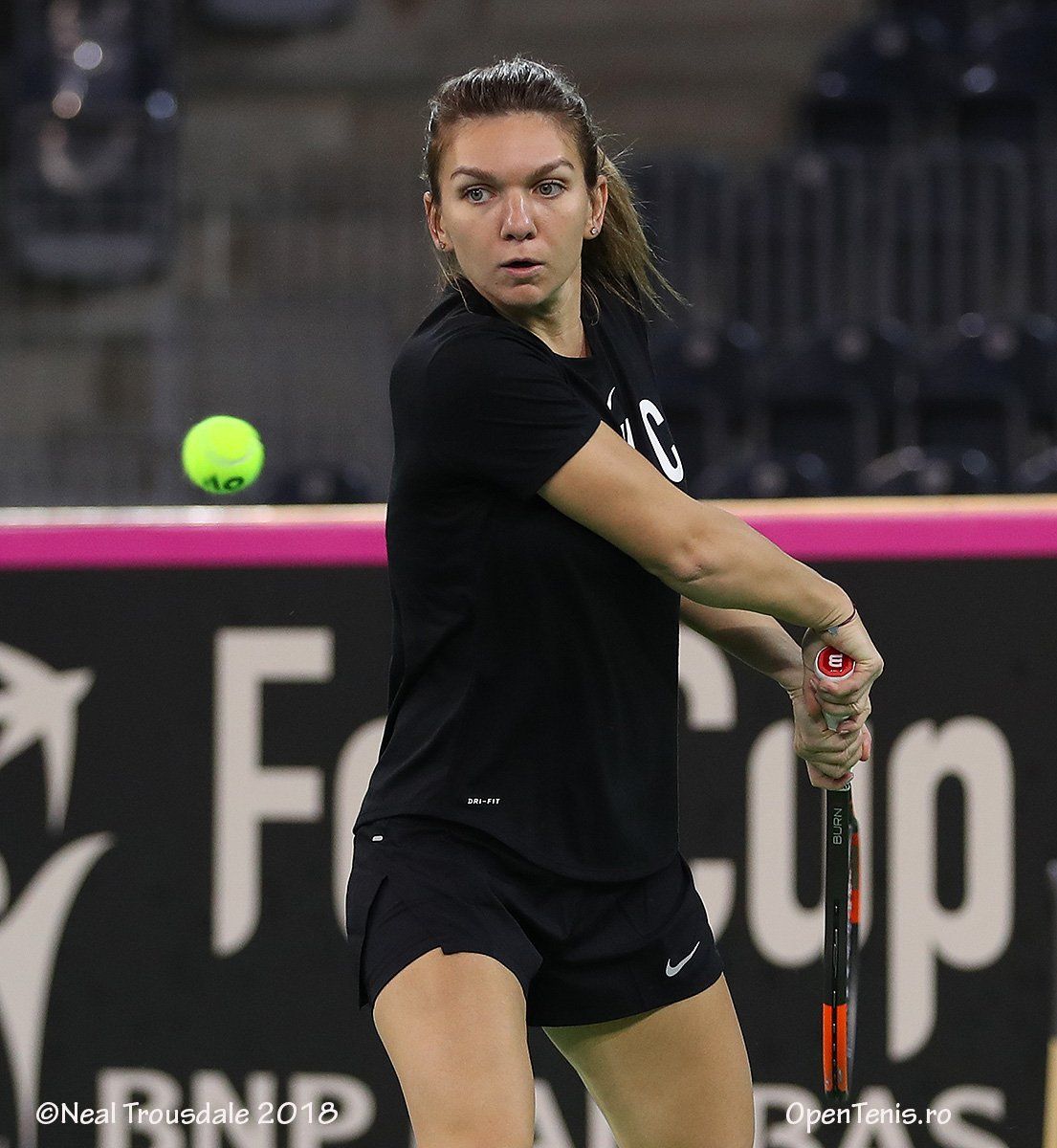 Simona Halep classe 1991, n.2 del mondo