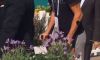 Sembra serio l’infortunio di Thanasi Kokkinakis (Video)