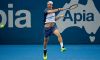 Sorteggio Tabellone Maschile degli Australian Open 2017. Il punto sugli italiani.