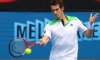 ATP Rotterdam: Il Tabellone Principale. Murray vs Baghdatis al primo turno. Nessun azzurro presente