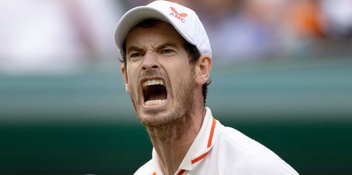 Andy Murray nella foto