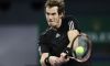 Andy Murray continuerà con Amelie Mauresmo anche nel 2015