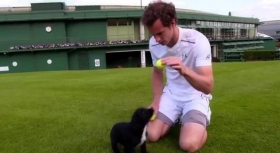 Wimbledon, Tweet, Video e Varie - Day 8