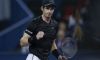 Tutti i vincitori dei tornei ATP 500 del 2016. Guida la classifica Andy Murray