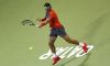 Notizie dal Mondo: Monfils-Brown coppia spettacolo a Melbourne. Nadal spera che l’Australian Open cambi data. Brutto momento per Tipsarevic, Gaffe di Evans. Serena indecisa