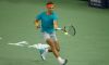 La programmazione 2015 di Rafael Nadal