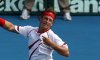 Ad Auckland per la prima volta David Nalbandian raggiunge le semifinali. A Sydney finale tra Clijsters e Na Li