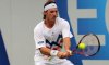 Australian Open – Main Draw: La situazione aggiornata in tempo reale. Arriva il forfait di David Nalbandian