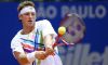 David Nalbandian contro Del Potro: “Non capisco perchè rifiutare la convocazione”