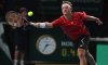 ATP Auckland: Fabio Fognini battuto da David Nalbandian