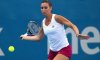 Classifica WTA Italiane: Flavia Pennetta perde un posto. Roberta Vinci eguaglia il suo best ranking