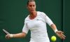 Wimbledon: Dichiarazioni Italiani (29 Giugno 2015)
