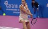 La Fed Cup che verrà