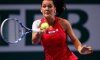 WTA Auckland: Il Tabellone Principale. Agnieszka Radwanska è la testa di serie n.1. Nessuna italiana al via