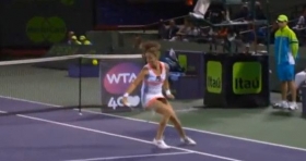 Agnieszka Radwanska classe 1989, n.4 del mondo
