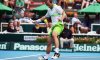 Gli organizzatori del torneo di Auckland assegnano per riconoscenza una wild card ad Olivier Rochus