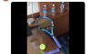Il divertente video di Roger-Vasselin, quarantena “creativa” (VIDEO)