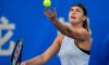 WTA Ostrava: I risultati con il dettaglio del Day 4 (LIVE)