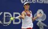 WTA Florianopolis: Doppio. Francesca Schiavone superata in finale