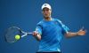 Combined Indian Wells: Il programma di domenica 13 Marzo. Seppi non prima delle 2 del mattino in Italia