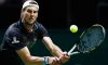 ATP Halle e Queen’s: Entry list. Seppi e Lorenzi ad Halle