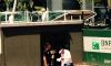 Serena Williams colpita dall’influenza