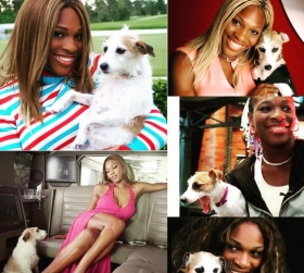 Serena Williams classe 1981, n.1 del mondo