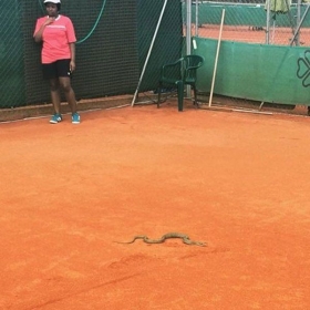 Un serpente al Challenger di Furth