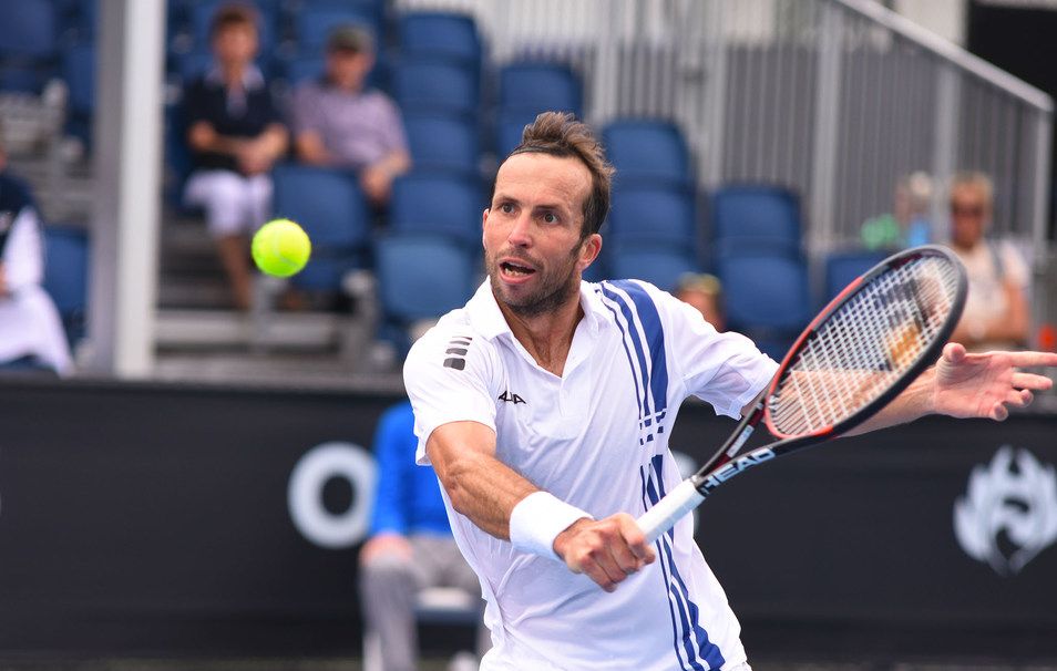 Radek Stepanek nella foto
