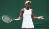 Annacone – Stephens: quando separarsi diventa una scusante per tutto. L’americana ora punta su Thomas Hogstedt