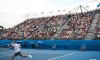 Combined Sydney: Risultati Live di Giornata. Livescore dettagliato. La Wozniacki si ritira per un problema al polso sinistro